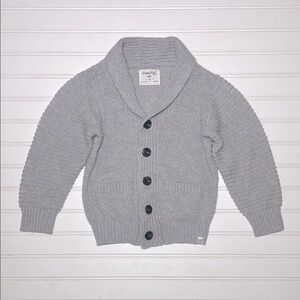 NORDSTROM SOVEREIGN CODE VGUC Grandpacore Shawl Collar Knit V-Neck Cardigan